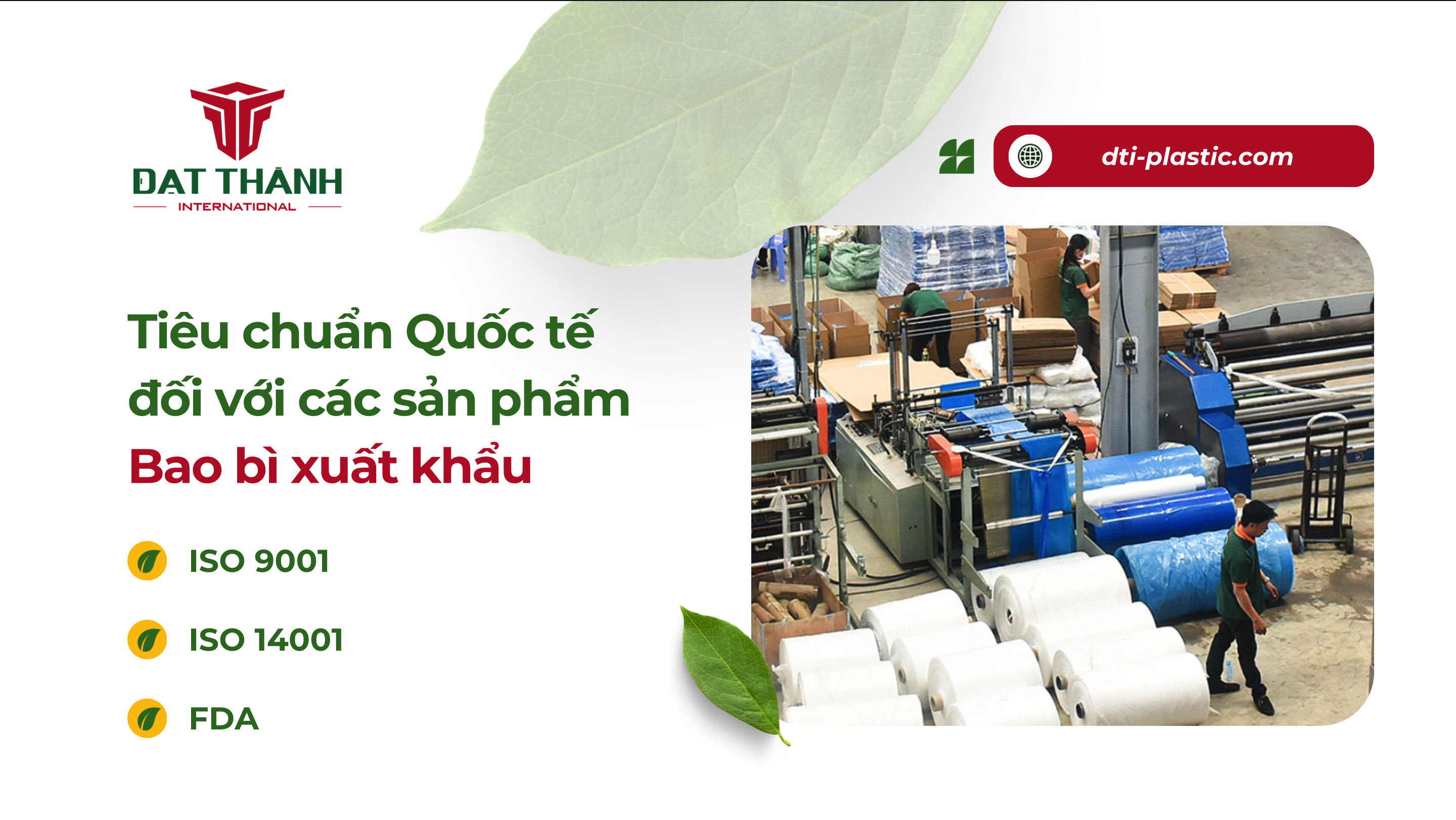 Chuẩn xuất khẩu bao bì nhựa – Tiêu chuẩn Quốc tế