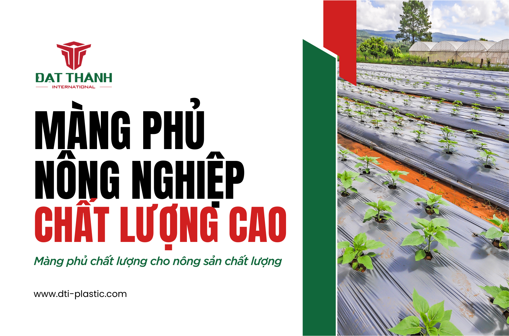 Màng phủ nông nghiệp chất lượng cao cho nông sản chất lượng