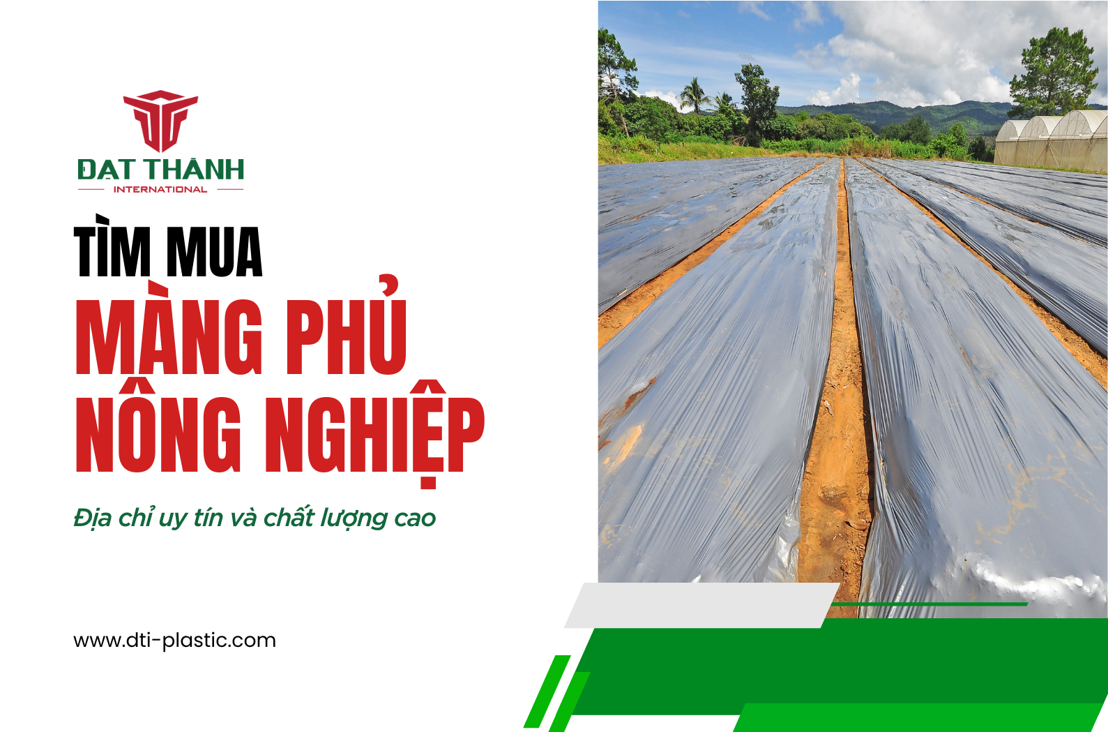 Mua Màng Phủ Nông Nghiệp: Địa Chỉ Uy Tín Và Chất Lượng Cao