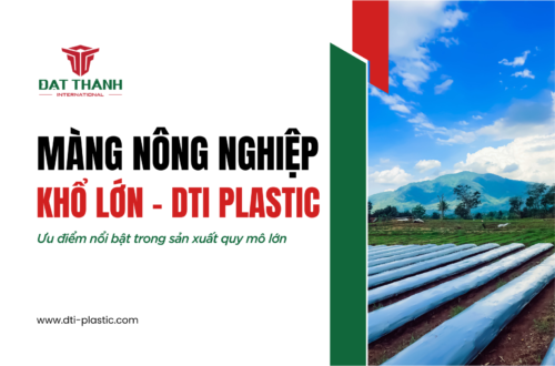 Ưu Điểm Nổi Bật Của Màng Nông Nghiệp Khổ Lớn Trong Sản Xuất Quy Mô Lớn