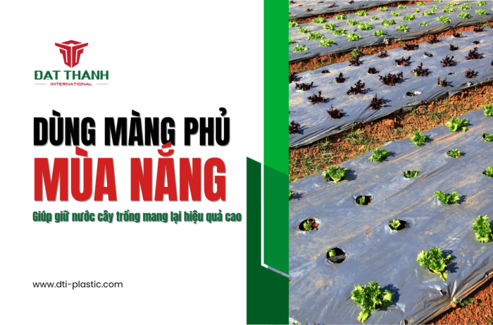 Dùng màng phủ mùa nắng – Giúp giữ nước cho cây?