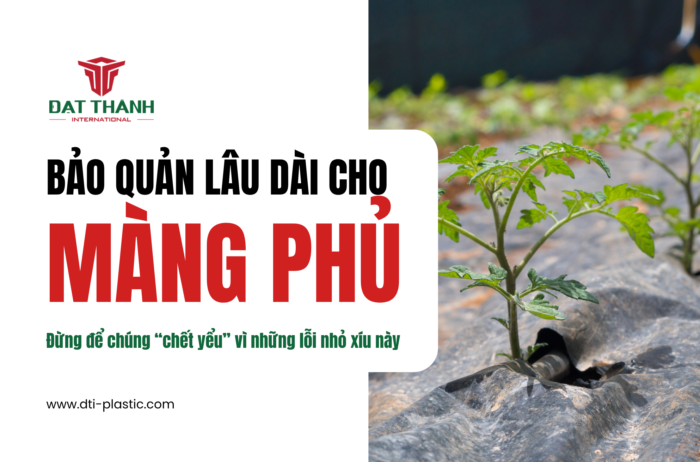 Giữ màng phủ lâu hỏng: Đừng để chúng ‘chết yểu’ vì những lỗi nhỏ xíu này