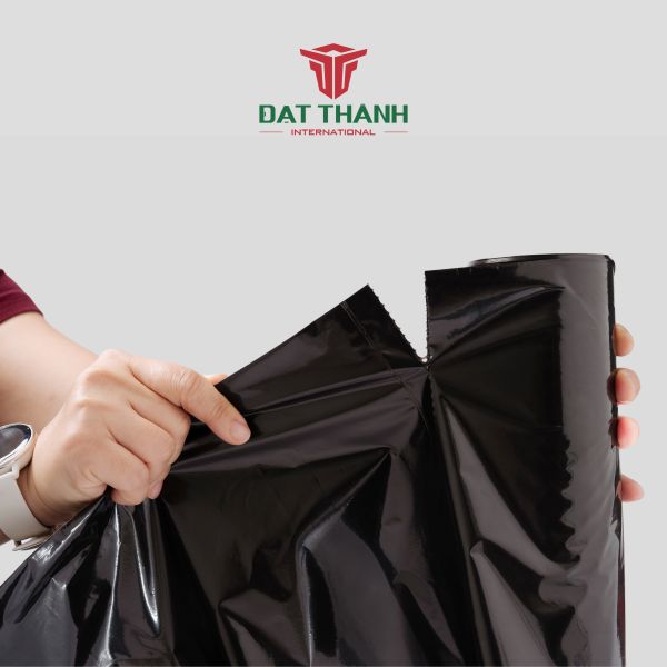 Túi Rác Đáy Sao - Ảnh 2